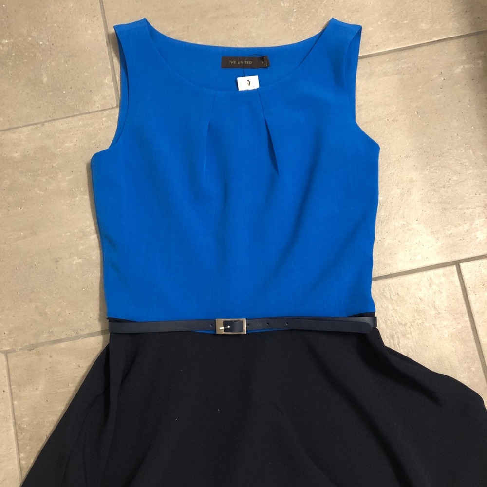NWT the Limited dress